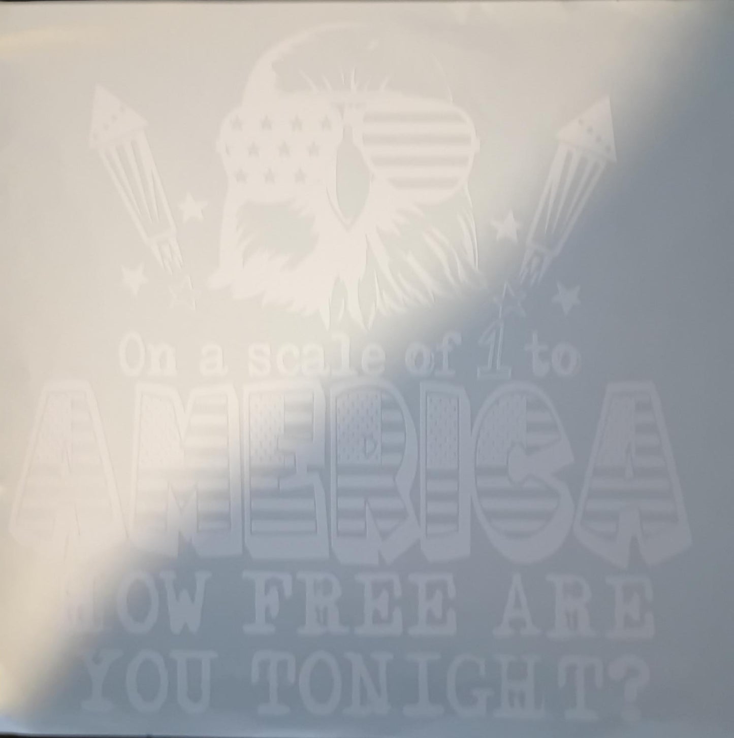 On a Scale 1 to America Screen Print Transfer